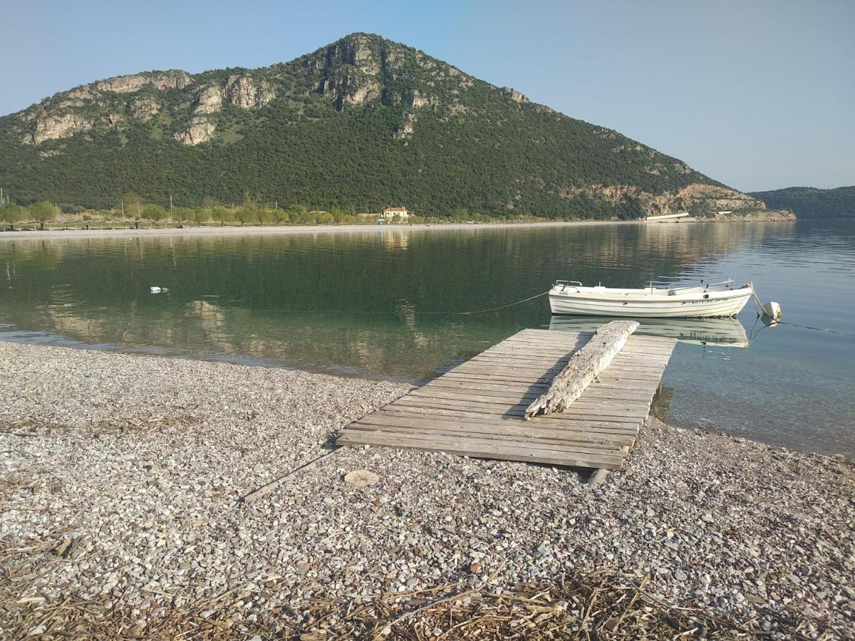 Hotel Theasis Paralia Sergoulas 外观 照片